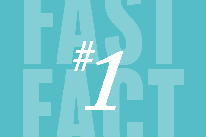 Fast Fact 1 - icon