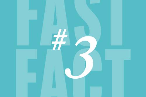Fast Fact 3