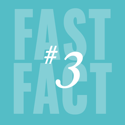 Fast Fact 3