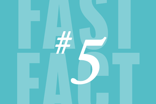 Fast Fact 5