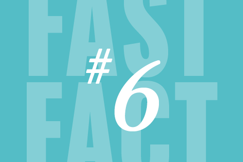 Fast Fact 6