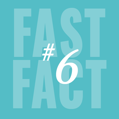 Fast Fact 6