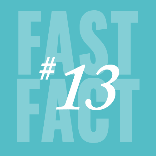 Fast Fact 13