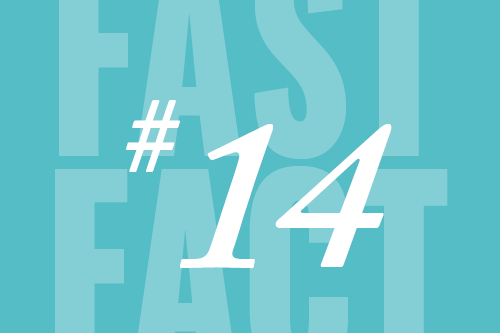 Fast Fact 14