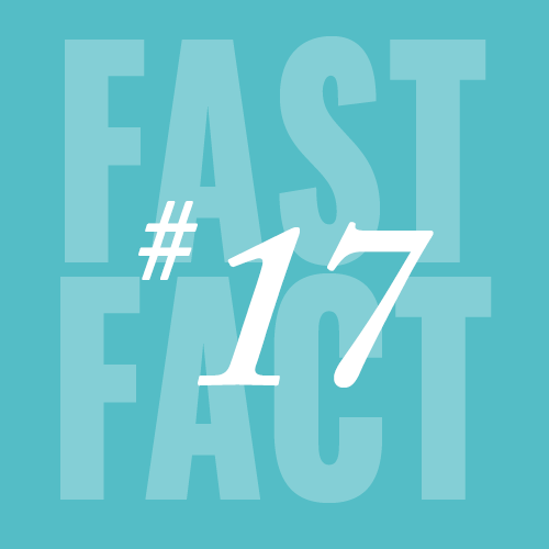 Fast Fact 17