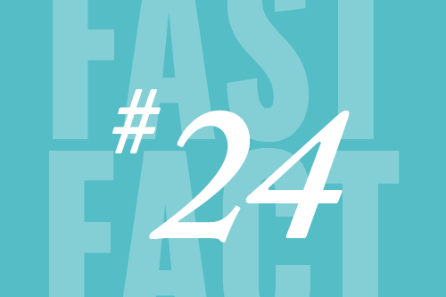 Fast Fact 24