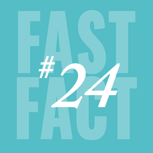 Fast Fact 24
