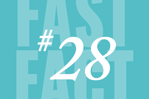 Fast Fact 28