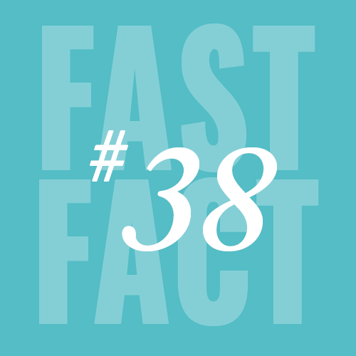 Fast Fact 38